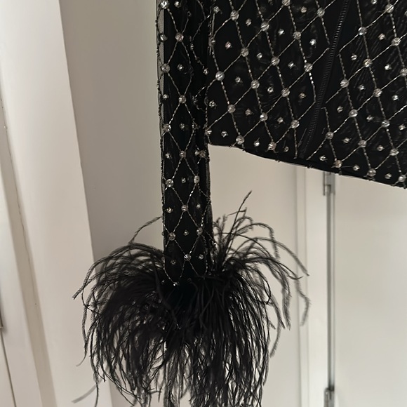 Alice and Olivia embelished feather top - Picture 5 of 7